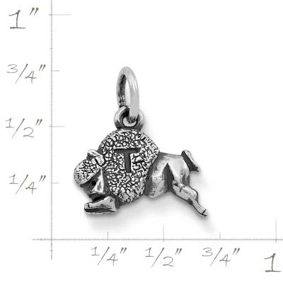 Tonk Charm in Sterling Silver - Image 2