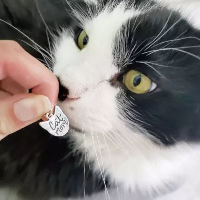 "Cat Mom" Charm in Sterling Silver - Image 4
